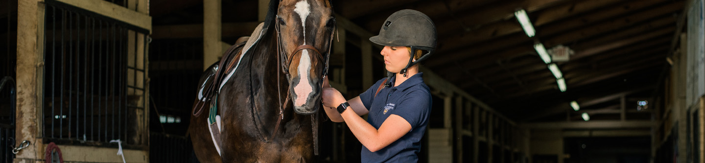 Emory & Henry Equine Studies student and a horse inside the Intermont Equestrian Center barn