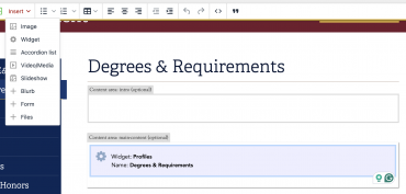 LiveWhale page editor with placeholder for widget