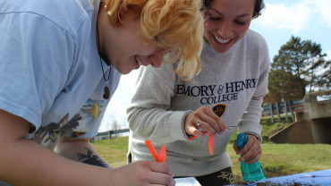 E&H students measure the number and diversity of stream dwellers to assess water quality.