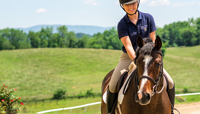 A horse outside the Equestrian Center.