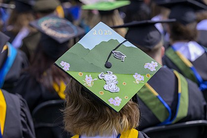 Back of graduate cap