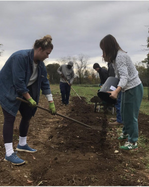 CVIN Major, Sarah Dutton, works with others at the E&H Garden harvesting potatoes. 
