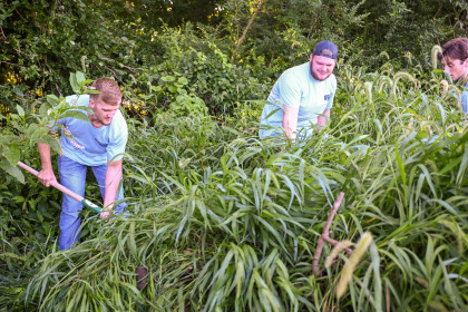 First-Year Students participate in Service Plunge Fall 2022 during New Student Experience weekend in corporation with the Appalachian Cen...