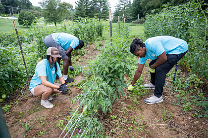 Students participate in Service Plunge Fall 2023