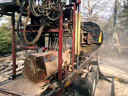 Processing the Beech Tree as it becomes the MCA Art Gallery Floor